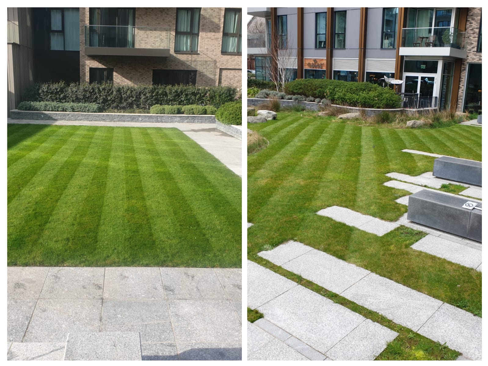 Striped lawn maintenance at residential block